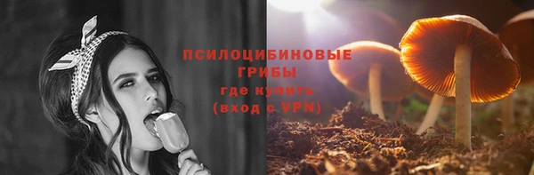 тгк Горняк