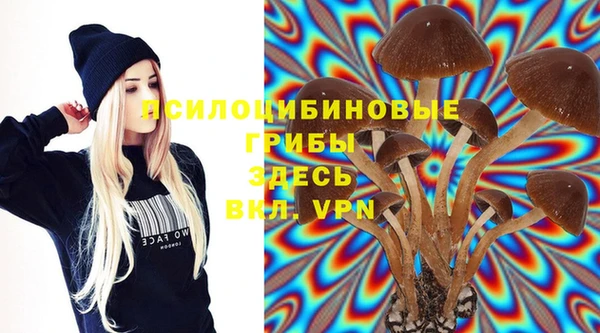 ECSTASY Горнозаводск