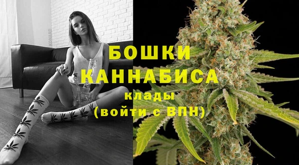 тгк Горняк